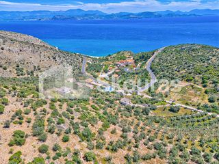 Αγροτεμάχια 4.260,36 τ.μ. για πώληση, Αργολίδα, Λέρνα-thumb-16