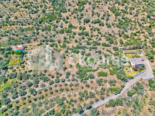Αγροτεμάχια 4.260,36 τ.μ. για πώληση, Αργολίδα, Λέρνα-thumb-8