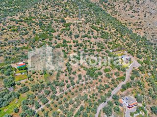 Αγροτεμάχια 4.260,36 τ.μ. για πώληση, Αργολίδα, Λέρνα-thumb-13