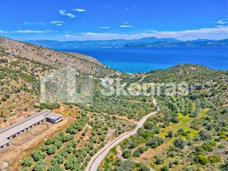 Αγροτεμάχια 4.260,36 τ.μ. για πώληση, Αργολίδα, Λέρνα-thumb-26