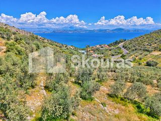 Αγροτεμάχια 4.260,36 τ.μ. για πώληση, Αργολίδα, Λέρνα-thumb-3