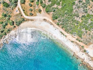 Αγροτεμάχια 4.260,36 τ.μ. για πώληση, Αργολίδα, Λέρνα-thumb-29