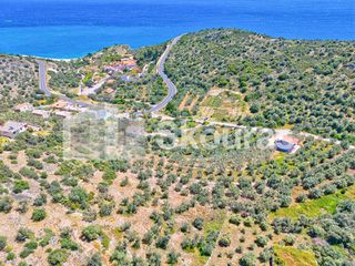 Αγροτεμάχια 4.260,36 τ.μ. για πώληση, Αργολίδα, Λέρνα-thumb-18