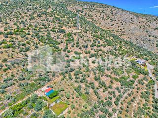 Αγροτεμάχια 4.260,36 τ.μ. για πώληση, Αργολίδα, Λέρνα-thumb-9