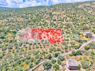 Αγροτεμάχια 4.260,36 τ.μ. για πώληση, Αργολίδα, Λέρνα-thumb-4