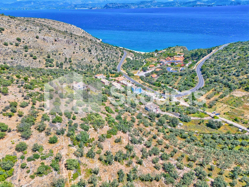 Αγροτεμάχια 4.260,36 τ.μ. προς πώληση, Κιβέρι