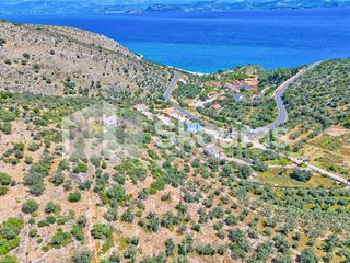 Αγροτεμάχια 4.260,36 τ.μ. για πώληση, Αργολίδα, Λέρνα-thumb-1