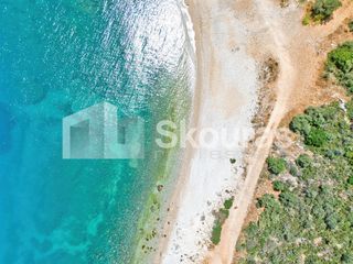 Αγροτεμάχια 4.260,36 τ.μ. για πώληση