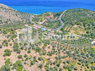 Αγροτεμάχια 4.260,36 τ.μ. για πώληση, Αργολίδα, Λέρνα-thumb-6