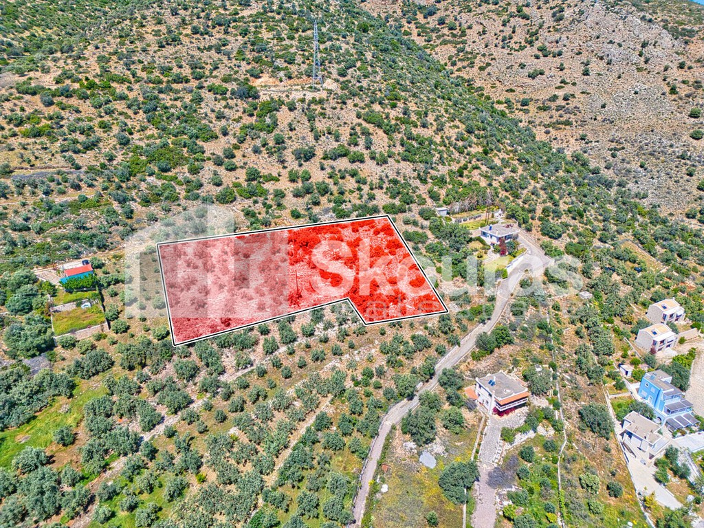 Αγροτεμάχια 4.260,36 τ.μ. προς πώληση, Κιβέρι