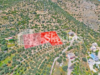 Αγροτεμάχια 4.260,36 τ.μ. για πώληση, Αργολίδα, Λέρνα-thumb-2