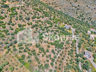 Αγροτεμάχια 4.260,36 τ.μ. για πώληση, Αργολίδα, Λέρνα-thumb-11