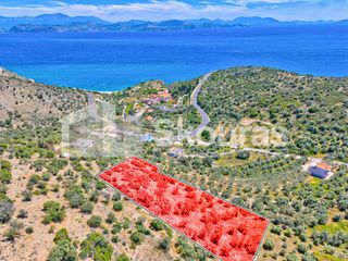 Αγροτεμάχια 4.260,36 τ.μ. για πώληση, Αργολίδα, Λέρνα-thumb-17