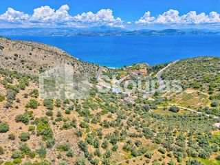 Αγροτεμάχια 4.260,36 τ.μ. για πώληση, Αργολίδα, Λέρνα-thumb-24