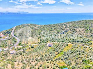 Αγροτεμάχια 4.260,36 τ.μ. για πώληση, Αργολίδα, Λέρνα-thumb-19