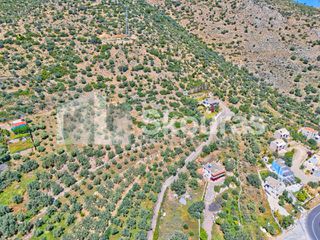 Αγροτεμάχια 4.260,36 τ.μ. για πώληση, Αργολίδα, Λέρνα-thumb-14