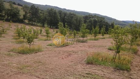 Parcel 22.000sqm for sale-Arnaia » Center