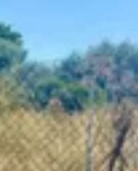 Οικόπεδο 60.000τ.μ. για πώληση-Κύθνος » Κανάλα