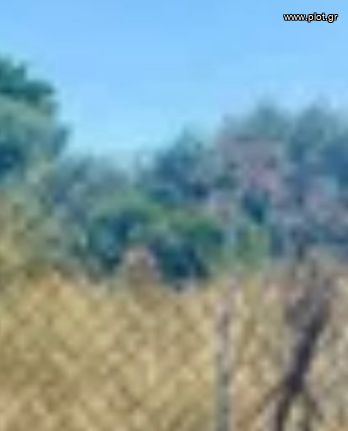 Οικόπεδο 60.000 τ.μ. για πώληση, Κυκλάδες, Κύθνος