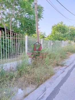 Αγροτεμάχια 1.227τ.μ. για πώληση-Πυλαία » Ελαιώνες