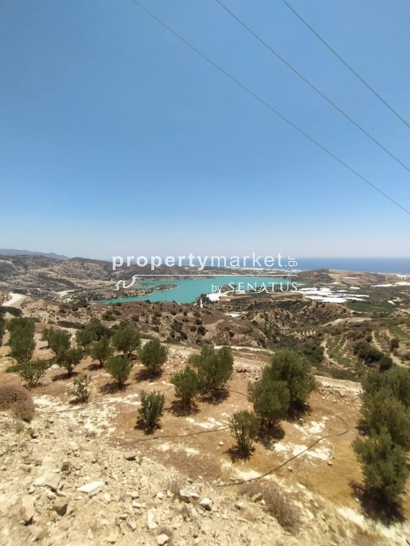 Αγροτεμάχια 6.000 τ.μ. προς πώληση, Καλαμαύκα