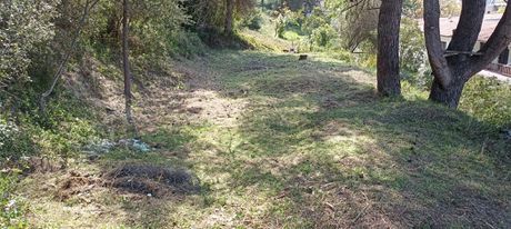 Αγροτεμάχια 286 τ.μ. για πώληση