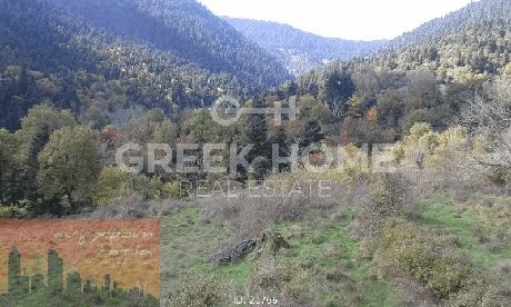 Αγροτεμάχια 6.688τ.μ. για πώληση-Καρπενήσι » Βούτυρο