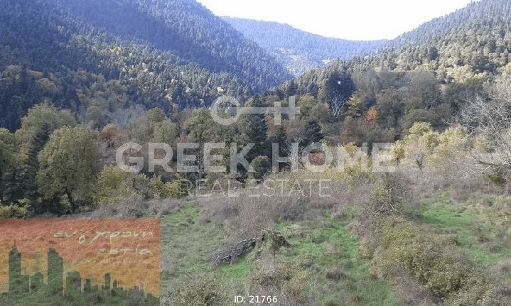 Αγροτεμάχια 6.688 τ.μ. για πώληση, Ευρυτανία, Καρπενήσι