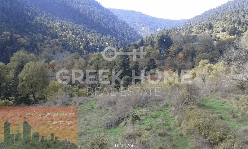 Αγροτεμάχια 6.688 τ.μ. προς ενοικίαση, Ευρυτανία, Καρπενήσι