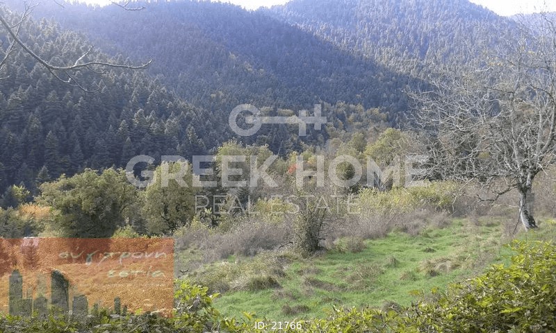 Αγροτεμάχια 6.688 τ.μ. προς ενοικίαση, Ευρυτανία, Καρπενήσι