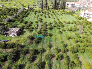 Οικόπεδο 16.501 τ.μ. για πώληση, Αργολίδα, Ναύπλιο-thumb-4