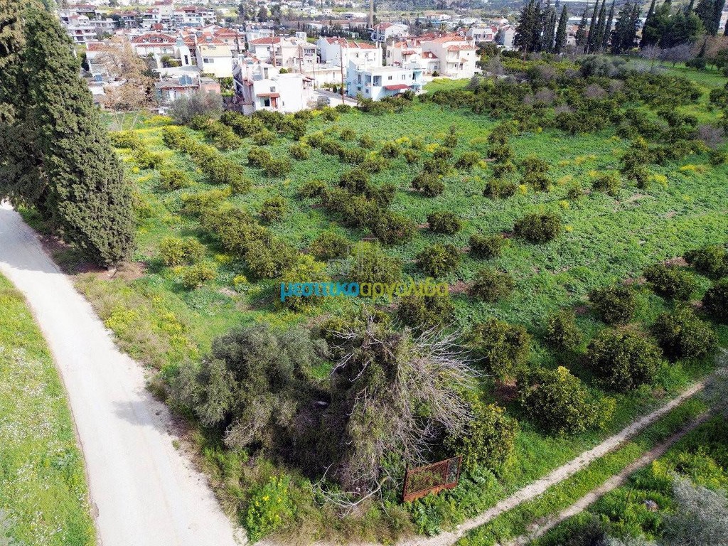 Οικόπεδο 16.000 τ.μ. για πώληση, Αργολίδα, Ναύπλιο