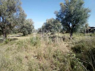 Οικόπεδο 2.000 τ.μ. προς πώληση, Δεμένικα-thumb-7