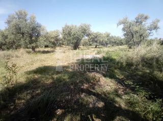 Οικόπεδο 2.000 τ.μ. προς πώληση, Δεμένικα-thumb-6