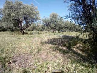 Οικόπεδο 2.000 τ.μ. προς πώληση, Δεμένικα-thumb-9