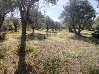 Οικόπεδο 2.000 τ.μ. προς πώληση, Δεμένικα-thumb-5
