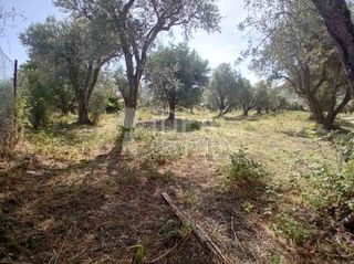 Οικόπεδο 2.000 τ.μ. προς πώληση, Δεμένικα-thumb-10