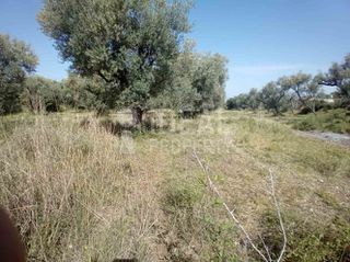 Οικόπεδο 2.000 τ.μ. προς πώληση, Δεμένικα-thumb-2