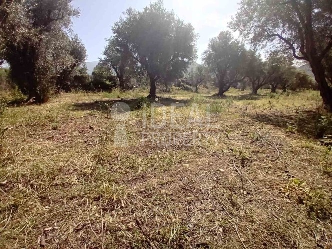 Οικόπεδο 2.000 τ.μ. προς πώληση, Δεμένικα