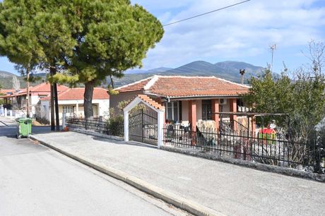 Μονοκατοικία 43τ.μ. για πώληση-Ορφανό » Οφρύνιο