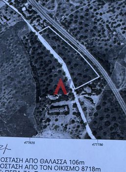 Αγροτεμάχια 4.200 τ.μ. για πώληση