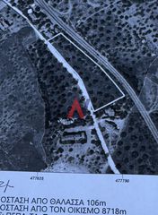 Αγροτεμάχια 4.200 τ.μ. για πώληση