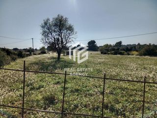 Αγροτεμάχια 9.900 τ.μ. προς πώληση, Ροζαίικα Κρανιδίου-thumb-3