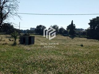 Αγροτεμάχια 9.900 τ.μ. προς πώληση, Ροζαίικα Κρανιδίου-thumb-2