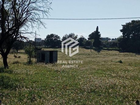 Αγροτεμάχια 9.900τ.μ. για πώληση-Κρανίδι » Ροζαίικα