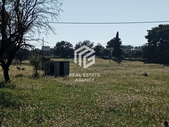 Αγροτεμάχια 9.900 τ.μ. για πώληση, Αργολίδα, Κρανίδι