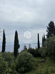 Οικόπεδο 3.000 τ.μ. για πώληση