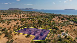 Αγροτεμάχια 4.120 τ.μ. για πώληση, Αργολίδα, Κρανίδι-thumb-2