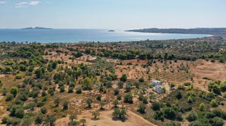 Αγροτεμάχια 4.120 τ.μ. για πώληση, Αργολίδα, Κρανίδι-thumb-12