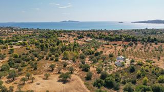 Αγροτεμάχια 4.120 τ.μ. για πώληση